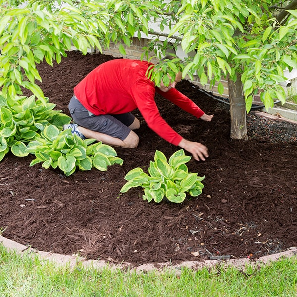 the cost estimate for mulch installation will depend on the size of the area and type of mulch